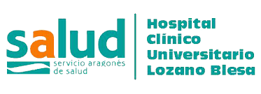 Logo HCZ